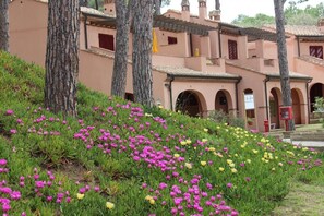 DĂ©tail de lâextĂ©rieur