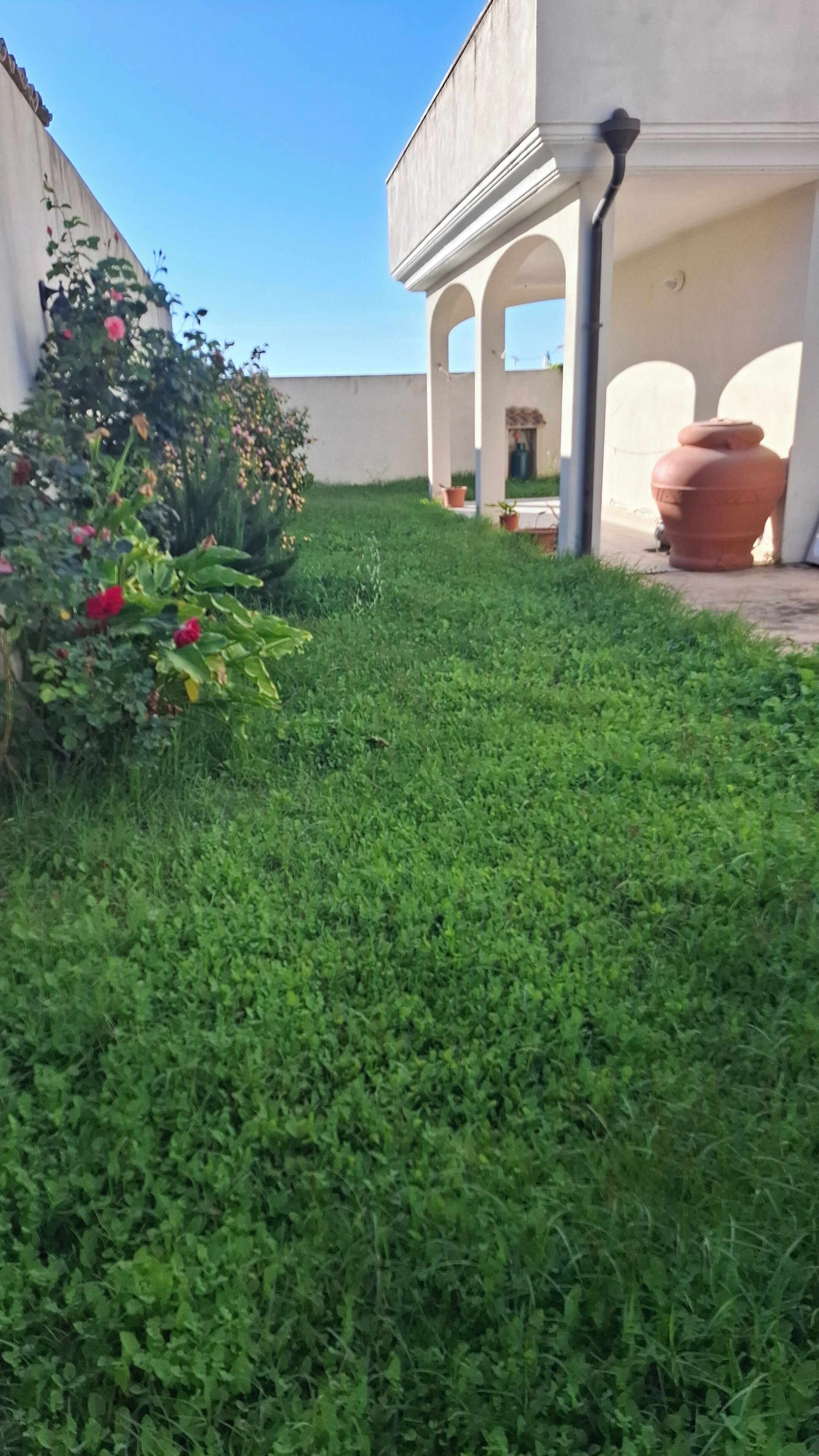 Àrea exterior de l'allotjament