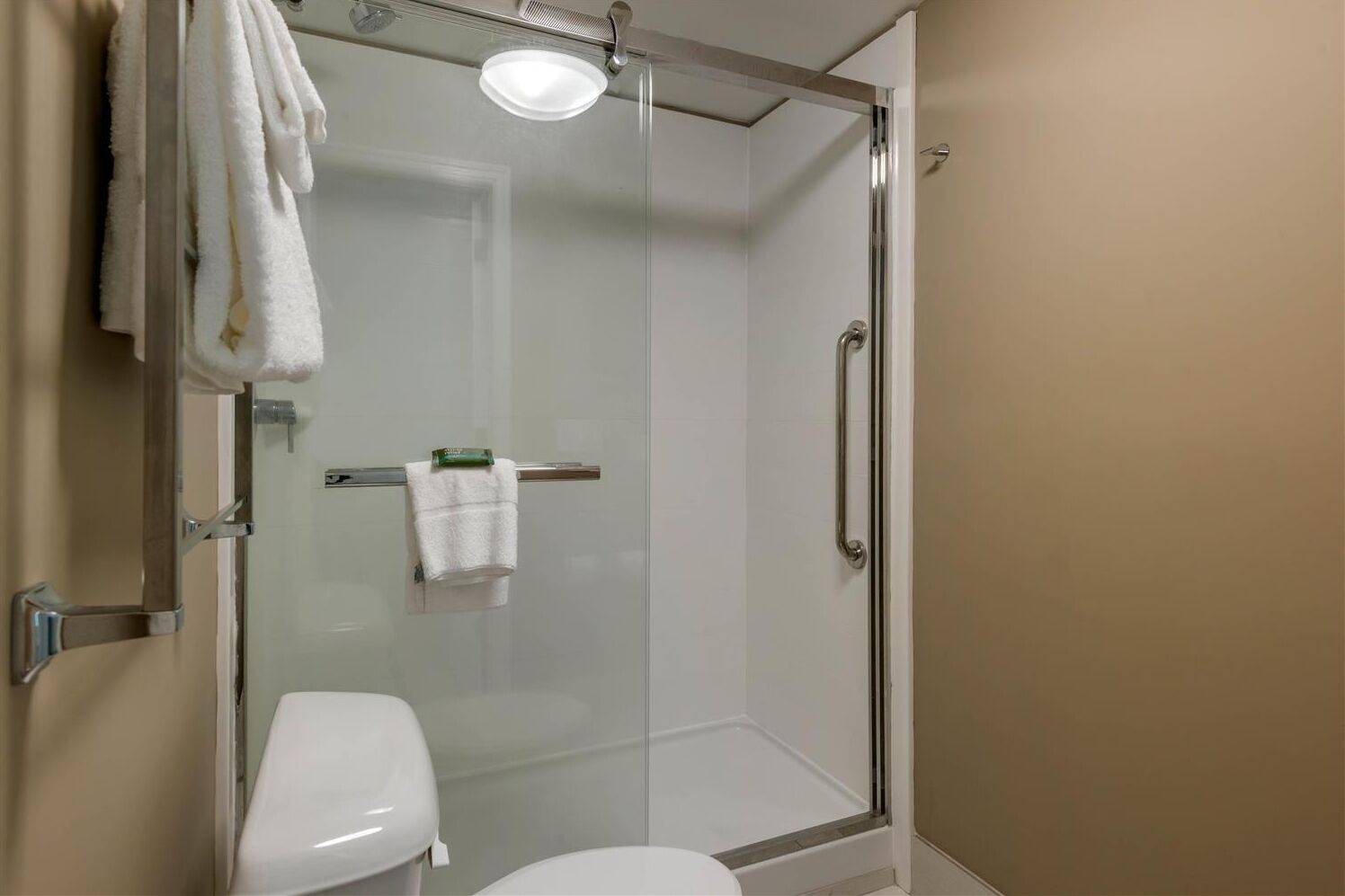 Een douchecabine met glazen wanden, een toilet en een handdoekhouder.