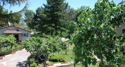 Shila Tatil KöyĂŒ
