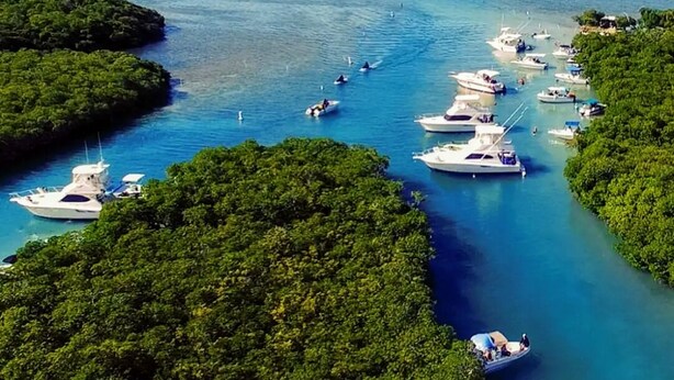 Un port de plaisance où sont amarrés plusieurs bateaux, entouré d’îles verdoyantes et d’une eau d’un bleu limpide.
