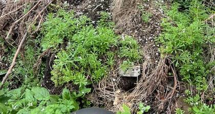 4-bed House - Sleeps 8, Garden & Central Links