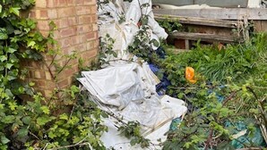 A cluttered outdoor area with overgrown vegetation and discarded items. - 4-bed House - Sleeps 8, Garden & Central Links (London)