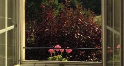 Ancien Haras de la Tour - Chambre de la Vallée