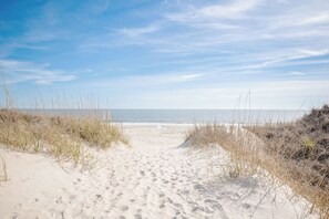Een zandpad langs het strand, omringd door gras en duinen.