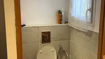 A bathroom with a toilet, a shower, and a window with a curtain.