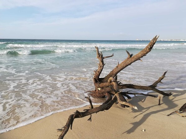Plage