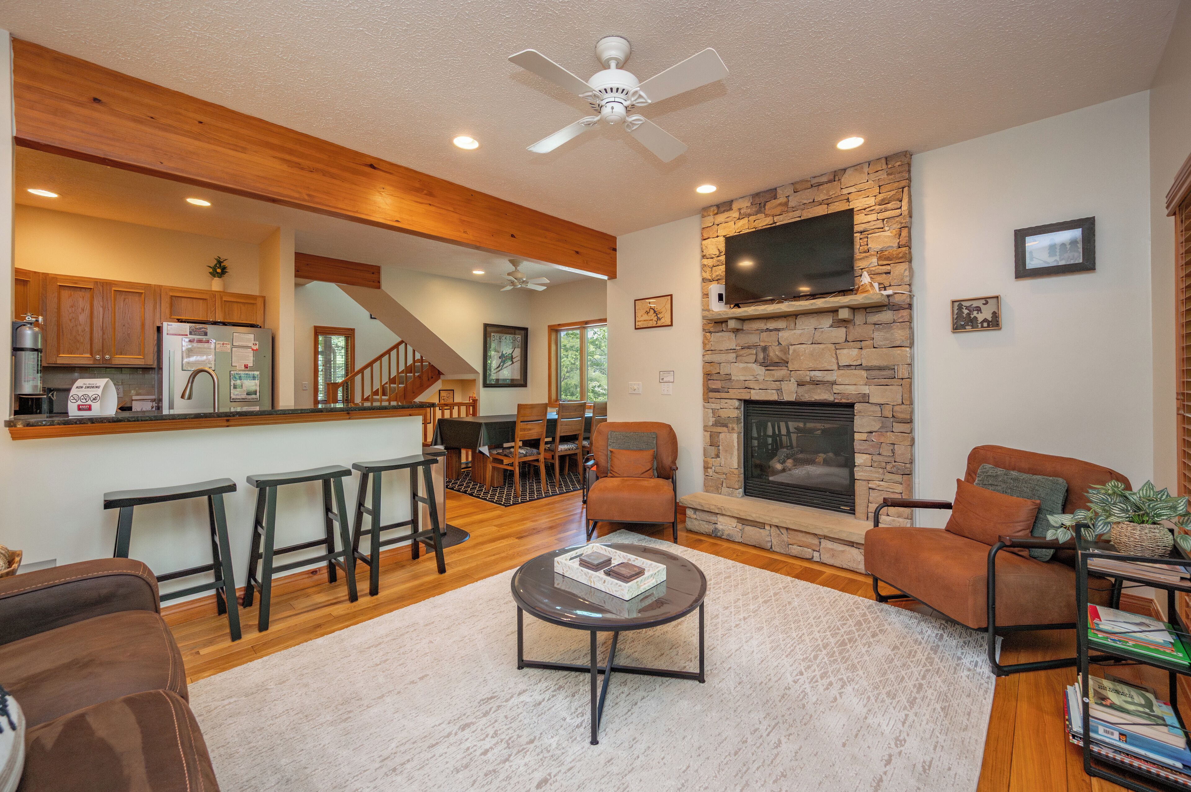 Smart TV, fireplace, books