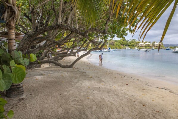Beach nearby