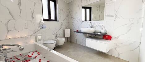 Shower, jetted bath, hair dryer, bidet