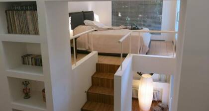 Puccini- un bel dĂŹ