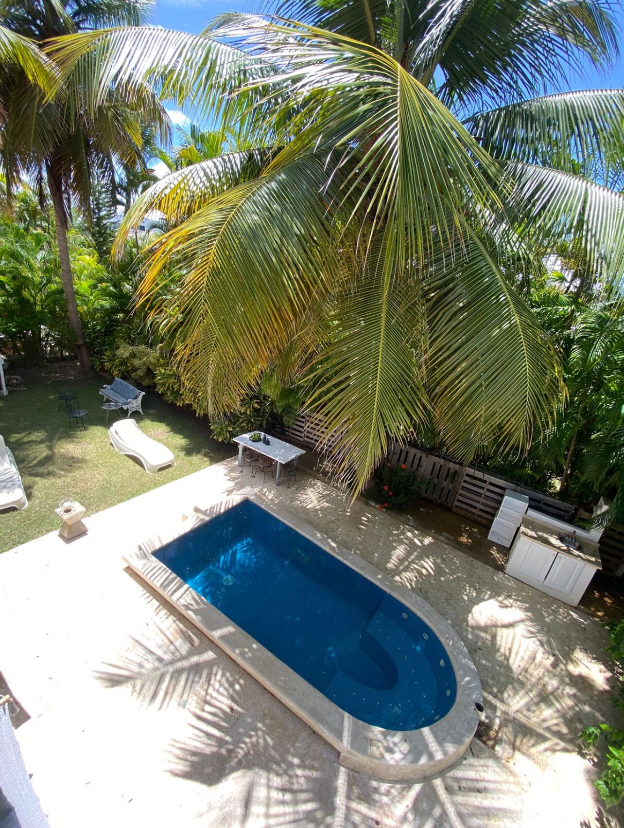 A swimming pool surrounded by palm trees and a wooden deck with lounge chairs.
