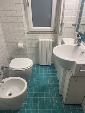 Hårtørrer, håndklæder, Sæbe, Toiletpapir