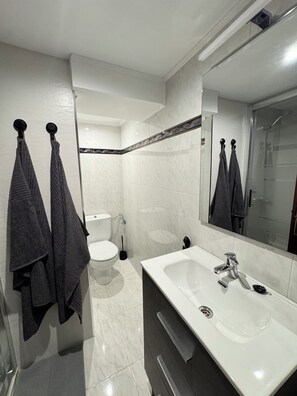 Séchoir à cheveux, serviettes fournies, savon, papier de toilette