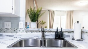 A modern kitchen with a double sink, a potted plant, and a bottle of dish soap. - Cozy 3b2b Duplex Home in South Austin (Austin)