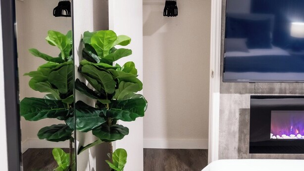 A bedroom with a bed, a TV, a fireplace, and two potted plants. - Cozy 3b2b Duplex Home in South Austin (Austin)