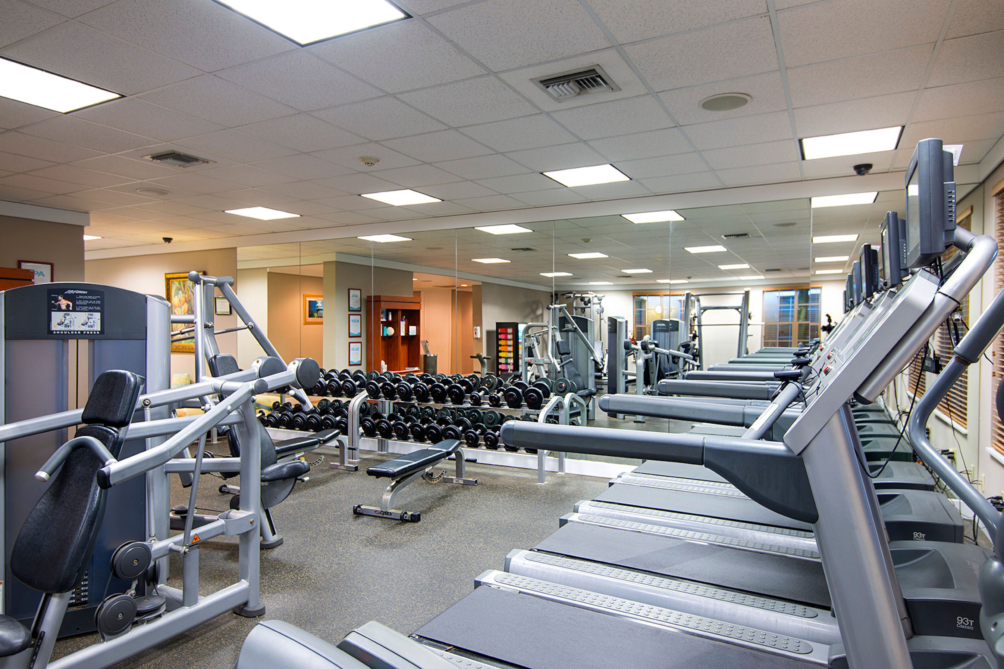 A gym with treadmills, dumbbells, and weight machines.