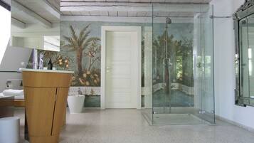 Shower, hair dryer, bidet, towels