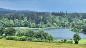 Un lac entouré d’une forêt dense et de vastes champs ouverts.