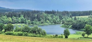 Ein See, umgeben von dichtem Wald und offenen Feldern.