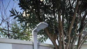 Un área de ducha exterior moderna con un árbol, un cabezal de ducha instalado en la pared y un escalón pequeño que da acceso a la ducha.