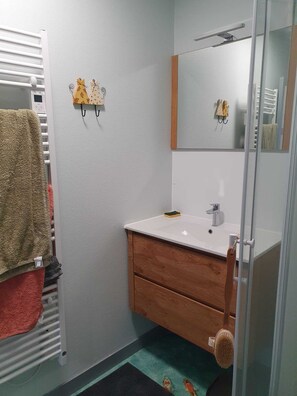Shower, towels, toilet paper