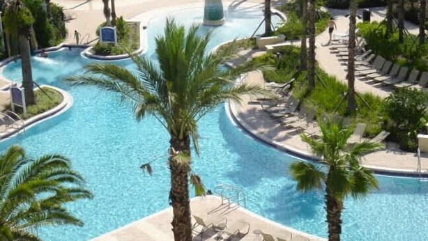 A large outdoor swimming pool with palm trees and lounge chairs.