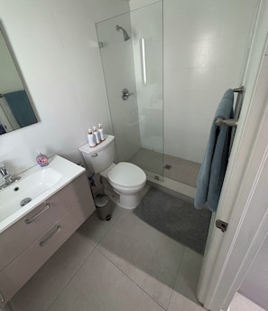 Douche, sèche-cheveux, serviettes fournies, savon