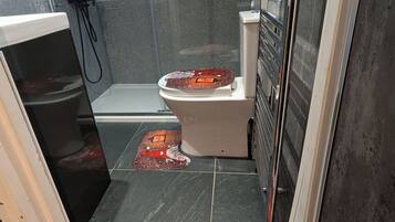 Haartrockner, Handtücher, Seife, Shampoo