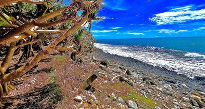 Cannes & Cimes, Bright & peaceful flat