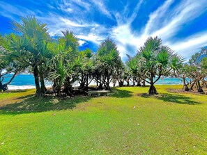 Beach - Cannes & Cimes, Bright & peaceful flat (Saint-André)