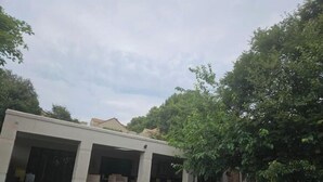 Un edificio moderno con un patio cubierto, un césped cuidado y un gran árbol en primer plano.
