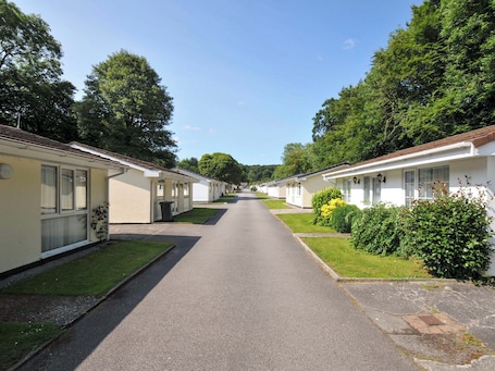 A row of mobile homes with a paved driveway, surrounded by greenery and trees.