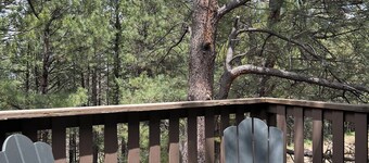 JUST LISTED!!  REMODELED!!  Angel Fire 2B/2B Condo