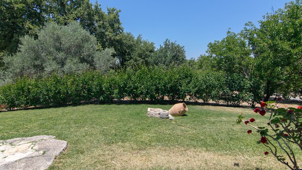 A grassy outdoor area with trees and a stone structure.