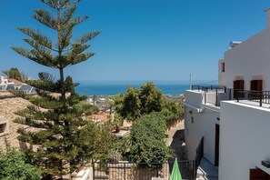 Villa, 3 Bedrooms, Smoking, Private Pool | View from room