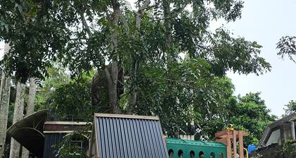 Room-novella Tagaytay Deluxe King 202 Po