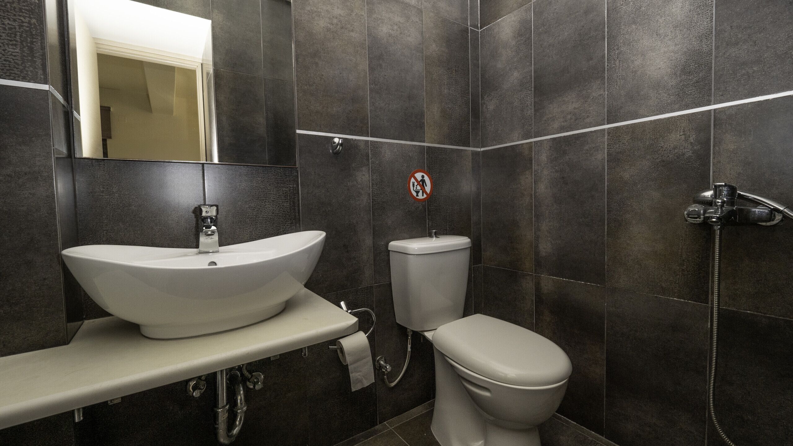 A modern bathroom with a large vessel sink, a toilet, and a shower.