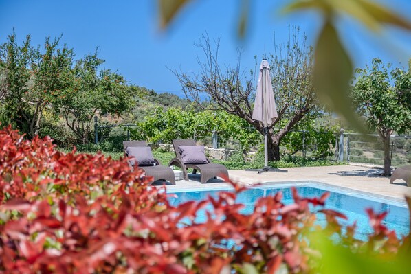 Outdoor pool, pool umbrellas, pool loungers