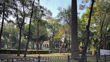 Property grounds