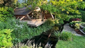A wooden cabin with a glass door, surrounded by lush greenery and a small pond.