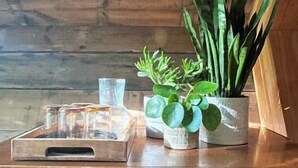A wooden table with potted plants and a glass container.
