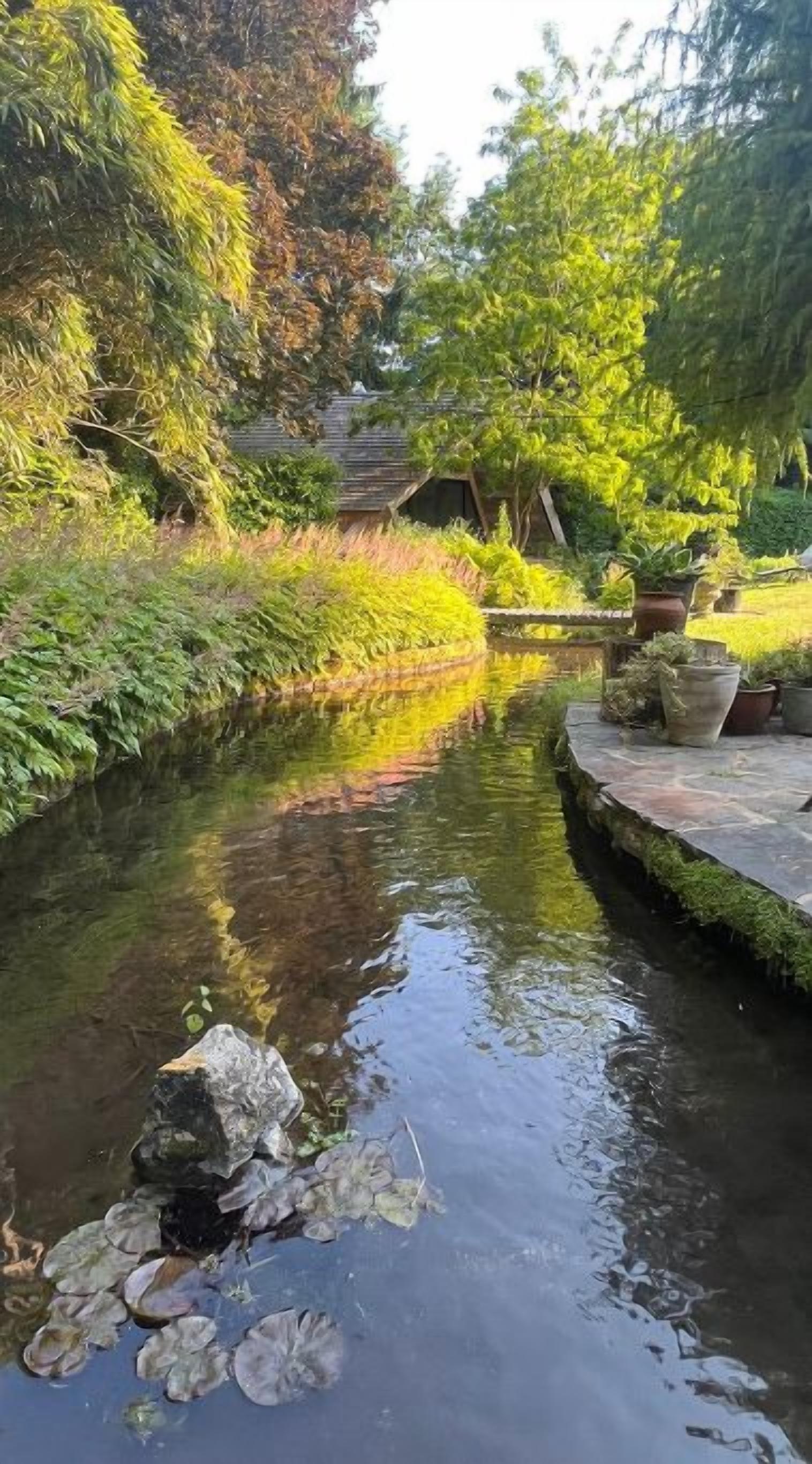 Un jardín tranquilo con un estrecho canal de agua, rodeado de exuberante vegetación y un puente de madera.