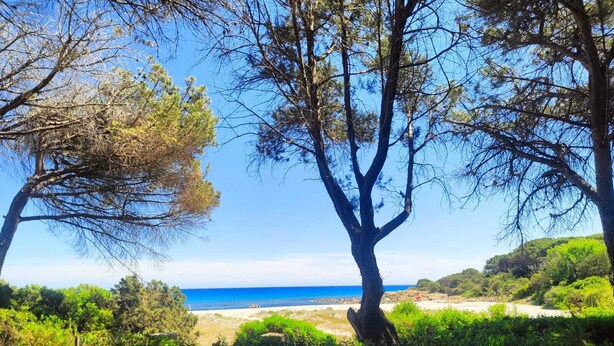 A coastal landscape with a clear view of the sea, surrounded by trees and greenery. - Beachfront villa, right ON SAND! (Cala Liberotto)