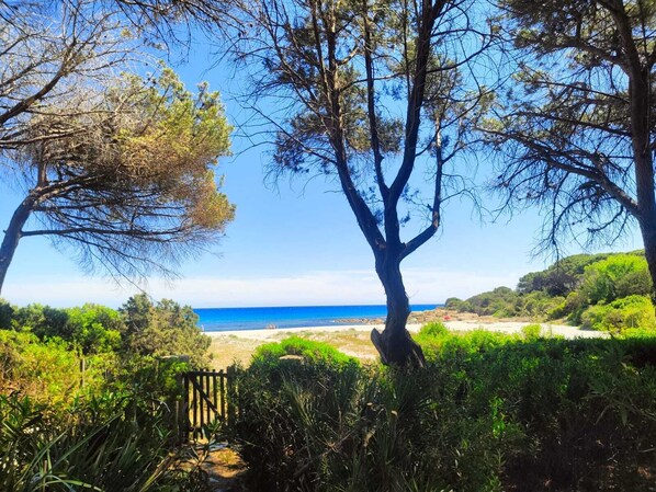 Na praia, toalhas de praia