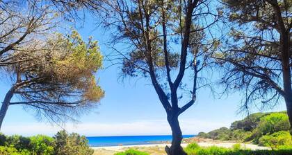 Beachfront villa, right ON SAND!