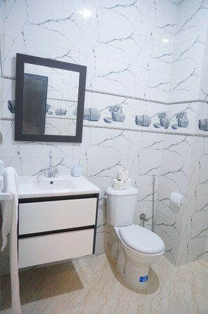 Shower, towels, soap, toilet paper