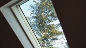 Una ventana con vistas a un árbol alto.