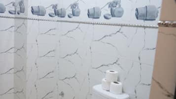Regadera, toallas, jabón, papel de baño