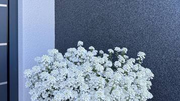 Facciata di un edificio moderno con pareti grigie strutturate, una porta bianca e un fioriere con fiori bianchi.